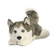Aurora World Miyoni Lying Husky Plush - 26263