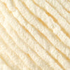 Bernat 16111010006 Blanket Yarn, 10.5 Ounce, Vintage White