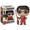 Funko Quidditch Harry Potter Vinyl Figure