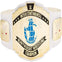 WWE Intercontinental Championship Title Belt