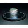Toysmith Euler's Disk