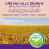 Life-Flo Pure Safflower Oil | Certified Organic, Cold Pressed, Food Grade & Hexane Free | For Skin & Hair, Aromatherapy, Massage Therapy | 16 fl. Oz